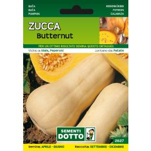 Sementi da Orto - Zucca Butternut - Sem. Dotto