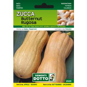 Sementi da Orto - Zucca Butternut Rugosa - Sem. Dotto