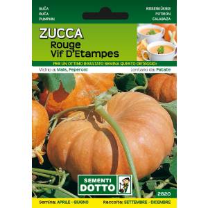 Sementi da Orto - Zucca Rouge Vif d Etampes - Sem. Dotto
