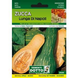 Sementi da Orto - Zucca Lunga di Napoli - Sem. Dotto