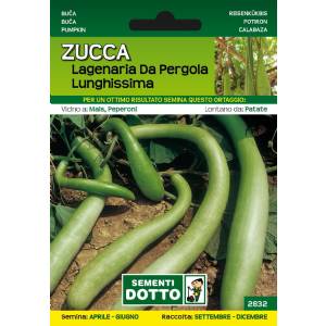 Sementi da Orto - Zucca Lageriana da Pergola lunghissima - Sem. Dotto