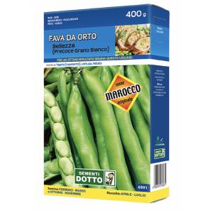 Sementi da Orto - Fava da orto Bellezza - Sem. Dotto