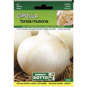 Sementi da Orto - Cipolla Tonda Musona - Sem. Dotto