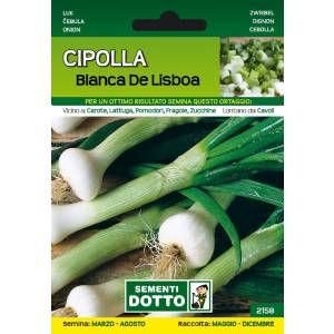 Sementi da Orto - Cipolla Bianca di Lisbona - Sem. Dotto
