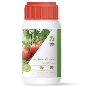 Vebi - Bio Lecitina di Soia 100gr