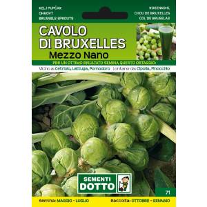 Sementi da Orto - Cavolo di Bruxelles Mezzo Nano - Sem. Dotto