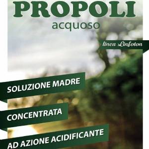 Idroluppolo - Propoli acquosa per Idroponica