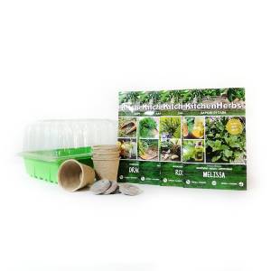 Kit Erbe Aromatiche - semi + jiffy + vasi + serra germinazione