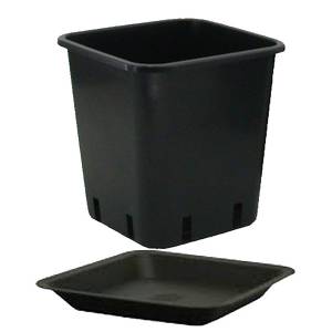 Vaso quadro 6,5L con Sottovaso