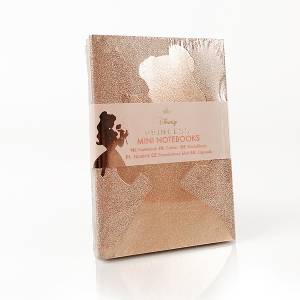 3 Mini notebooks Principesse Disney