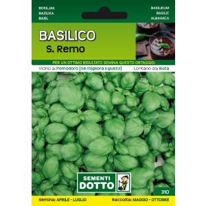 Sementi da Orto - Basilico San Remo - Sem. Dotto