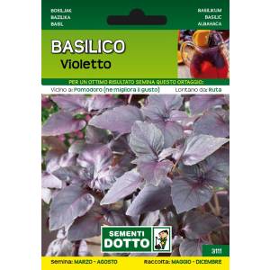 Sementi da Orto - Basilico Violetto - Sem. Dotto
