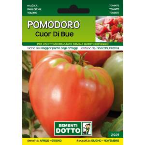 Sementi da Orto - Pomodoro Cuor di Bue - Sem. Dotto