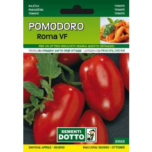 Sementi da Orto - Pomodoro Roma VF - Sem. Dotto