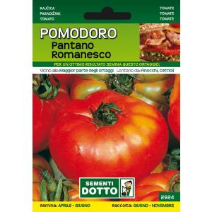 Sementi da Orto - Pomodoro Pantano Romanesco - Sem. Dotto