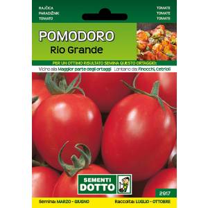 Sementi da Orto - Pomodoro Rio Grande - Sem. Dotto