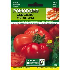 Sementi da Orto - Pomodoro Costoluto Fiorentino - Sem. Dotto