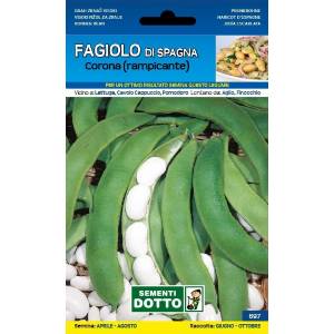 Sementi da Orto - Fagiolo di Spagna Corona rampicante