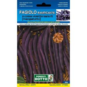 Sementi da Orto - Fagiolino Trionfo violetto rampicante