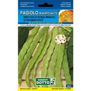 Sementi da Orto - Fagiolo rampicante Marconi a grano bianco 65gr
