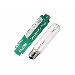 Bulbo Sylvania Grow Express - Fioritura