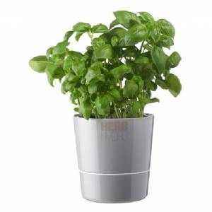 Vaso Hydro Herbs Singolo - Grigio