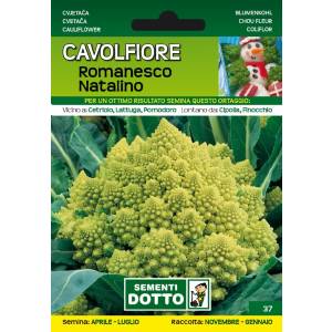 Sementi da Orto - Cavolfiore Romanesco Natalino - Sem. Dotto