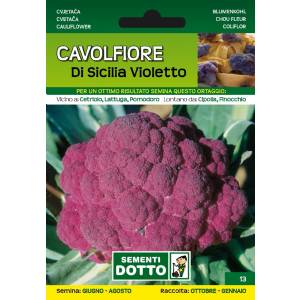 Sementi da Orto - Cavolfiore Di Sicilia violetto - Sem. Dotto