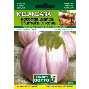 Sementi da Orto - Melanzana Rotonda Bianca Sfumata - Sem. Dotto