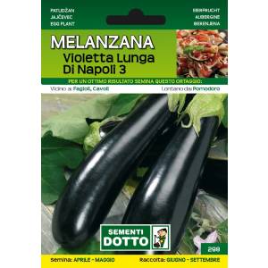 Sementi da Orto - Melanzana Violetta Lunga di Napoli 3