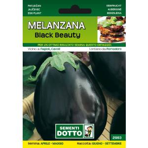 Sementi da Orto - Melanzana Black Beauty - Sem. Dotto