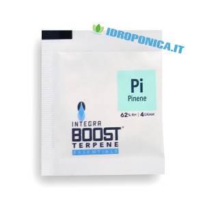 Integra Boost - Terpene gusto Pinene 4gr 62%
