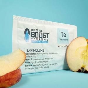 Integra Boost - Terpene gusto Terpinolene 67g 62%
