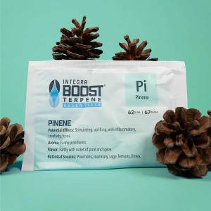 Integra Boost - Terpene gusto Pinene 67g 62%