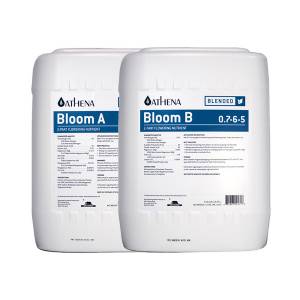 Athena - Bloom A + B - 2x18,92L