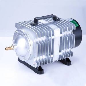 Water Master - Compressore Aria ACO818 - 300L/min