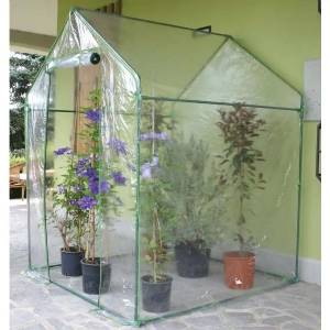 Telo ricambio per serra Clematis - Verdemax