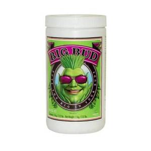 Adv Nutrients - Big Bud Powder 130g