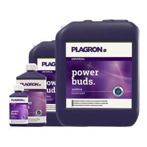 Plagron Power Buds