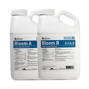 Athena - Bloom A+B - 2x0,94L