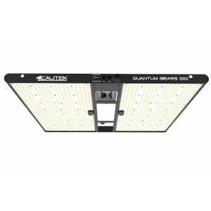 Calitek - Led Quantum Bears - 260W