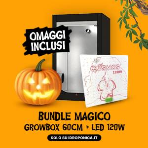 Bundle Magico | Box 60x60x158 + LED 120W + OMAGGIO