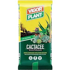 Terriccio per Cactacee da 20LT - Vigorplant