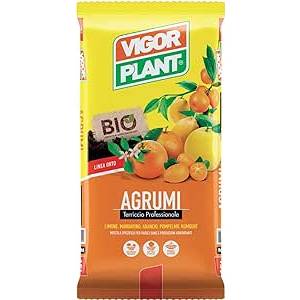 Terriccio per Agrumi - 20 LT - Vigorplant