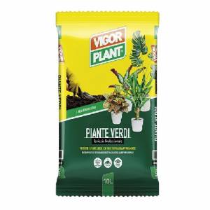 Piante verdi 10LT - Vigorplant