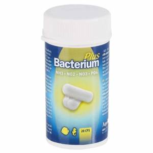 Bacterium Plus - Capsule