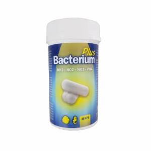 Bacterium Plus - Capsule