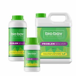 Bio Bav Problem Solver