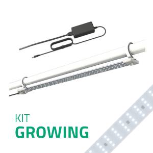 Secret Jardin - Kit Cosmorrow LED Growing