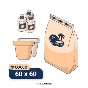 Kit Indoor Cocco 60x60